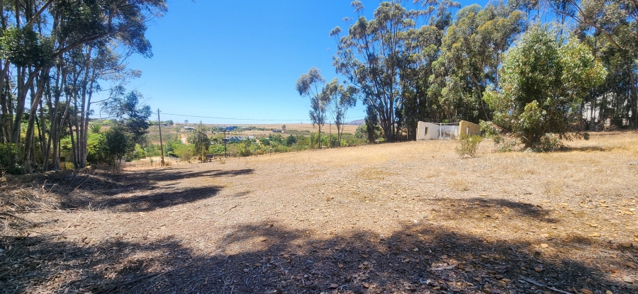 0 Bedroom Property for Sale in Napier Western Cape